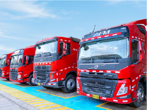 Servicios de Transporte Pesado y Liviano